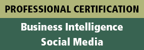 Professional Certification - IBIT