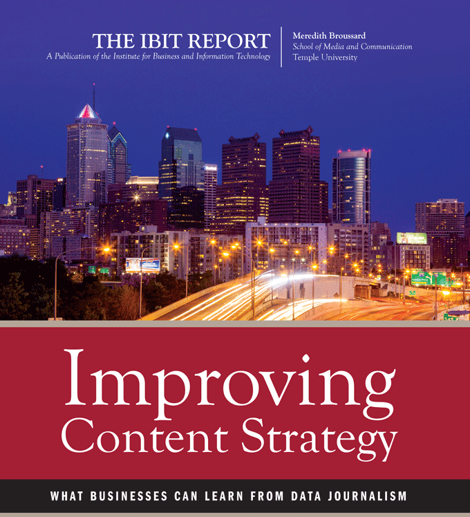 IBITReport_DataJournalism2015_Cover