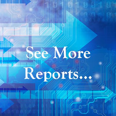 see more ibit reports